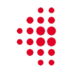 FVS Services Group
